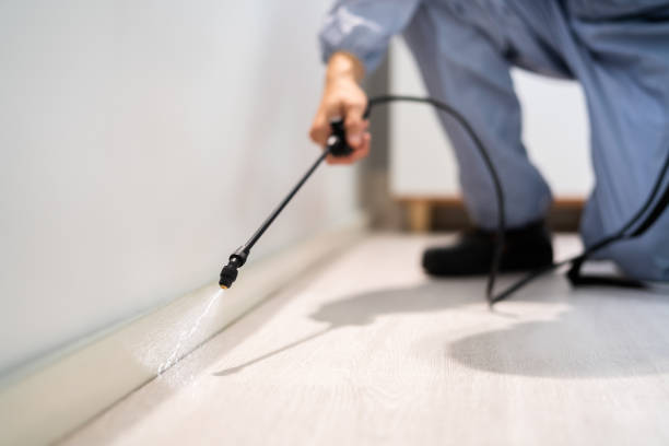 Bed Bug Pre-Treatment Preparation Assessment in North Bend