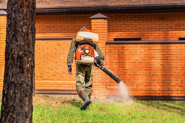 Bed Bug Clearance Verification and Documentation in North Bend